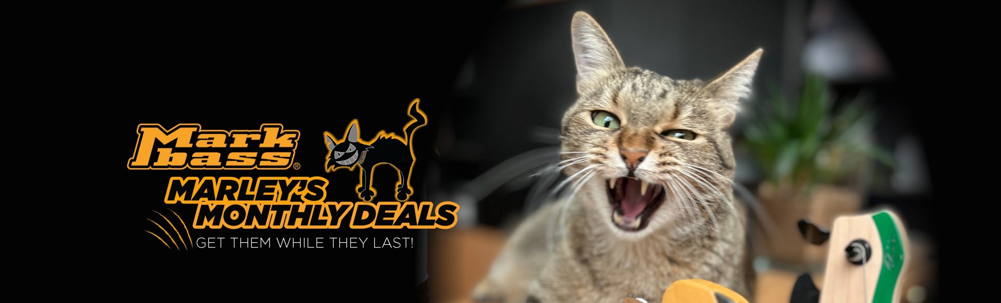marley monthly deals banner_1980x600