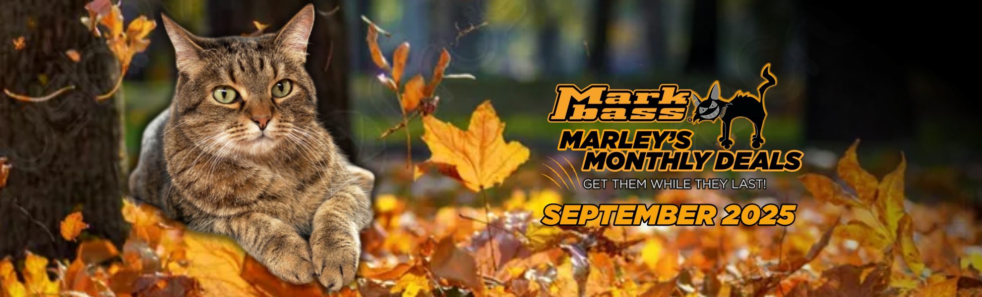 slide marley deals SETTEMBRE_1980x600
